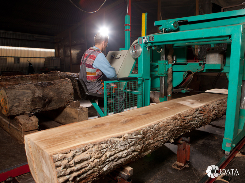 Primary Wood Processing Cioata Furniture